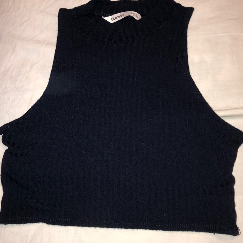 Blue cropped turtle neck top